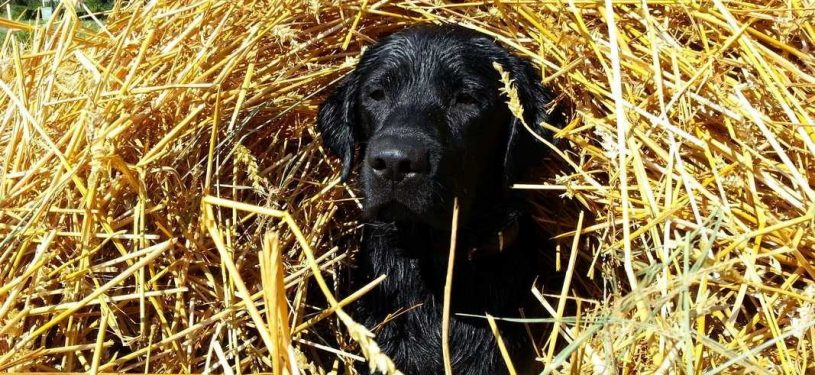 20130803_1603121280x800-50pz