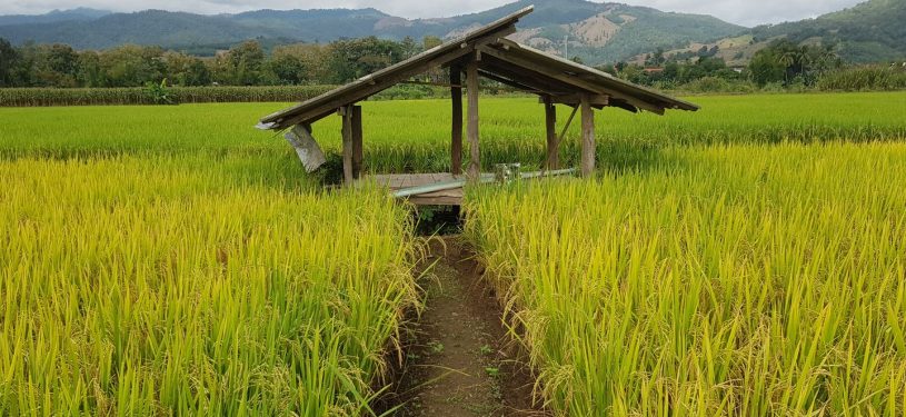 PSX_20181112_1309081280x800-50pz