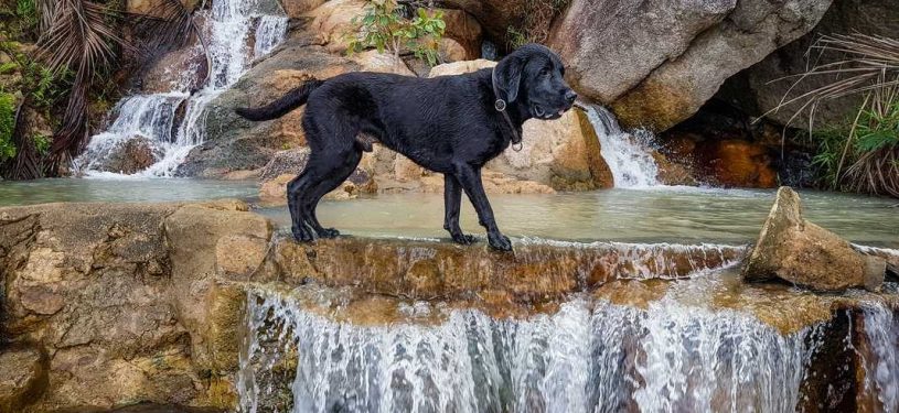 PSX_20181214_0016461280x800-50pz