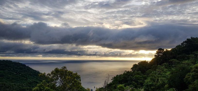 PSX_20190719_0912571920x1800-80pz