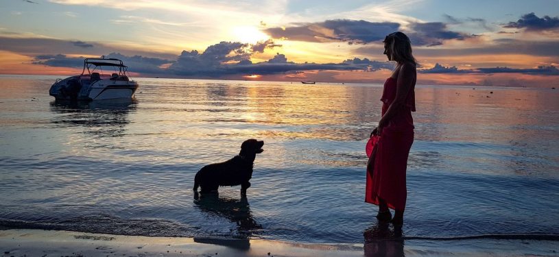 PSX_20210421_1215311920x1080-80pz