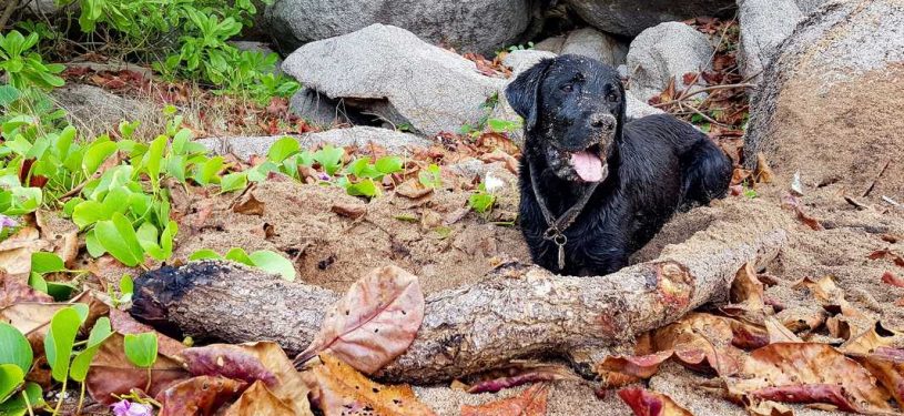 Xx20190225_1237241280x800-50pz