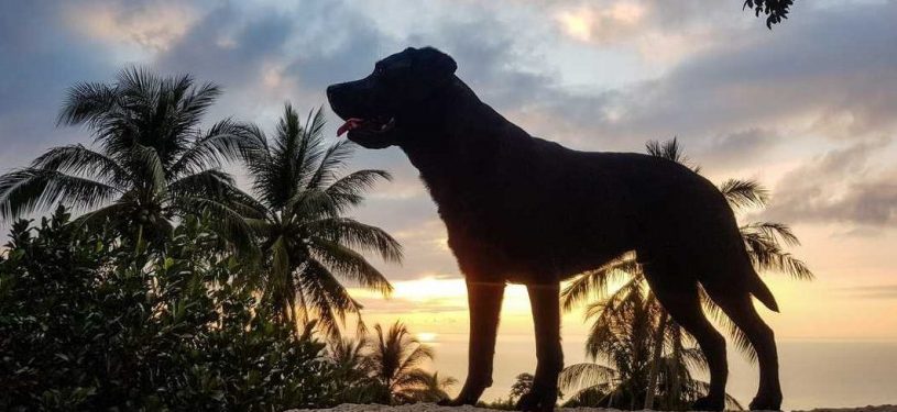 Xx20190311_1248261280x800-50pz