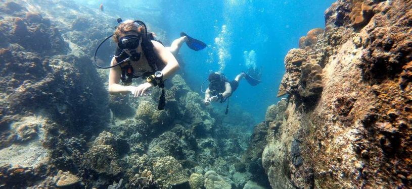 Xx20200518_1722501280x800-50pz