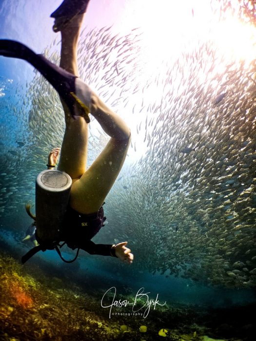 underwater-photography-koh-tao-diver-school-of-fish-jb