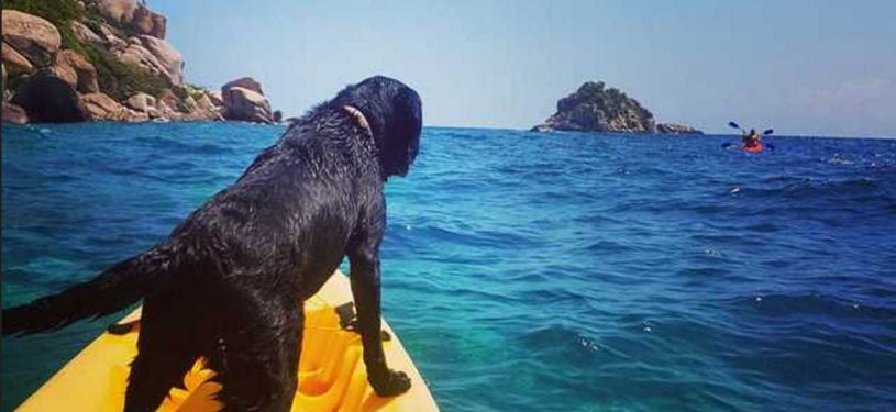 xx2022-02-11_224928-50pz1280x800-50pz